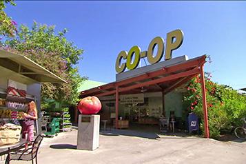 location-photo-davis-food-co-op.jpg